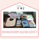 분당제일여성병원 응급제왕 입원 후기