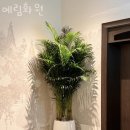 서울화원 이미지