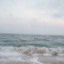 동해바다 이미지