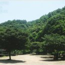 다촌캠핑장 이미지