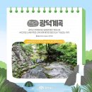 4가지 <b>천연</b> 소화제