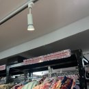 도쿄마츠리 | 일본여행 도쿄 신주쿠 마츠리 축제 후기 하나조노 신사