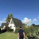 대도교통(주) | 카페 / 비밀의 숲 / 돌문어볶음 맛집 순덕이네 추천 / 제주 동문시장 / 김포공항 교통약자 서비스 이용