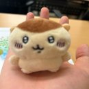 ラッキー(*^ω^*)