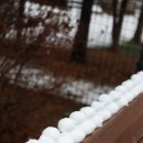 두리멍쉴 애견유치원 이미지