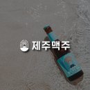 올곧제주 이미지