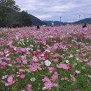 메밀영농조합법인 이미지