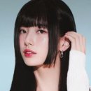 도도헤어보그