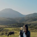 양명산 | 대만 가볼만한곳 추천, 칭티엔강 대초원(양명산)가족 여행지 후기