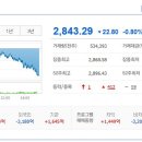 (주)서울제약 네이버블로그