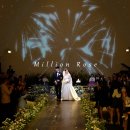 밀리언 로즈 가든 이미지