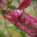 내몸애찬 이미지