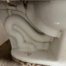 맘스터치 청주대점 이미지