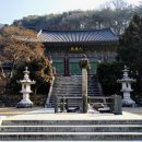 자암 김구비 | 신품사현과 견줄만한 선조의 아들 의창군 이광