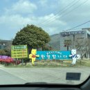 진도개천국 이미지