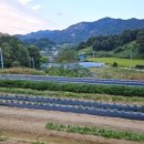 대건농장 이미지