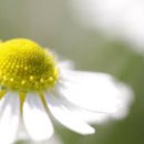 공도한의원 이미지