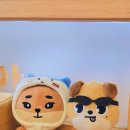 샤브마니아 이천갈산점