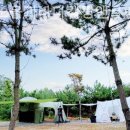 태안노을과바다캠핑앤글램핑 이미지