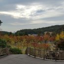 경기대한의원 이미지