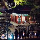 달빛아래 이미지