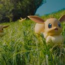 포켓애니멀 이미지