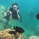 상현목장 | 나트랑