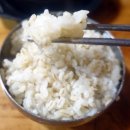 토속보리밭 이미지