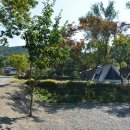 율곡캠핑장 이미지