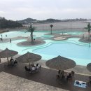 배곧한울공원 이미지