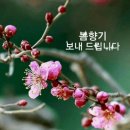 짱신 이미지
