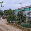 이인자 농장 이미지