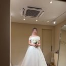 자연드림도안점 | 👗 대전 라피네 브라이덜 본식 드레스 셀렉 후기｜친구 4명 평가표까지 준비한 현실 꿀팁 | D-72