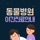 더드림동물병원 이미지