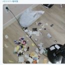 비엘로 이미지