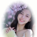 추억의 7080 노래모음 / 바람부는데로님 / 음악 모음곡방 이미지