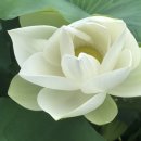 마하재활병원 이미지