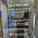 씨앤트리(Sea&Tree) 이미지
