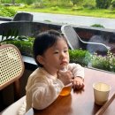 보라세탁소 | 6월인가 7월인가 여름날 일기