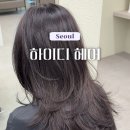 석촌미용실 하이디 헤어 휘도 원장 레이어드 컷&톤 다운 염색 후기
