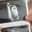 양지산부인과의원 이미지