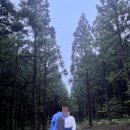제주의상식 이미지