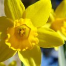 명곡목장 이미지