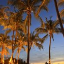 (주)한국코타콘도미니엄 | 코타키나발루 1월 말 날씨 및 3박 5일 일정공유 및 단독투어 후기