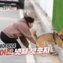 보고 이미지