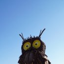 부엉이목장 이미지