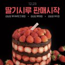 세븐일레븐 대전용문롯데점 | 대전 성심당 말차시루 롯데점 솔직 후기 예약 오픈런 필수 가격, 주차 꿀팁까지