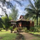 감성소통 그리고 심리운영 | 치앙마이 호텔 요즘 뜨는 0.5박 님만해민 신상숙소