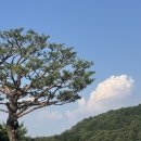 죽산오토바이 | [안성CC] 일본을 닮은 골프장 (미카의 155번째 국내 골프장 라운드)