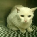 아현시장 이미지